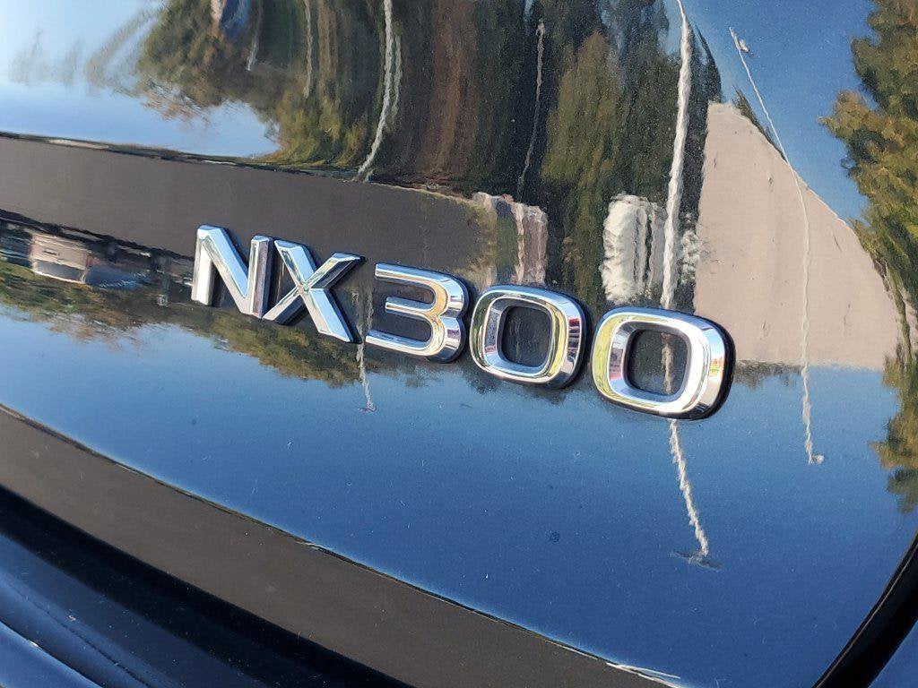 2021 Lexus NX 300 NX 300